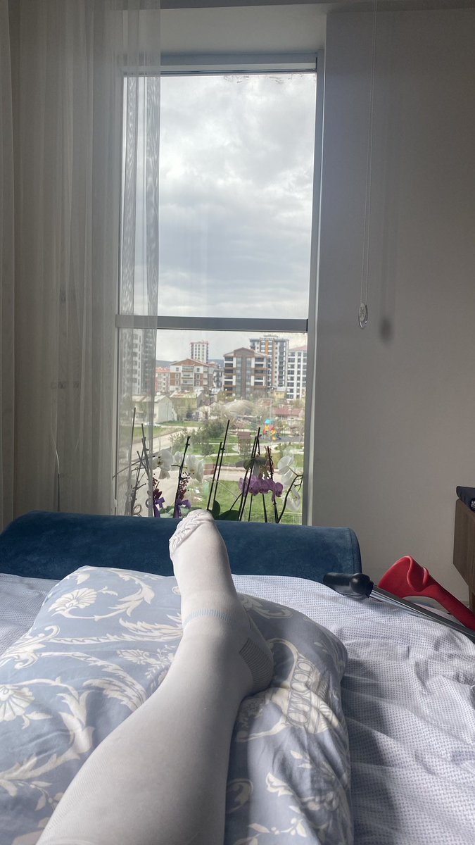 tamfani's tweet photo. @geminicat7 I fractured my tibia 3 months ago too:)One day,I will walk my favourite places but a bit heavy footed ☺️ https://t.co/HGJY40SJww