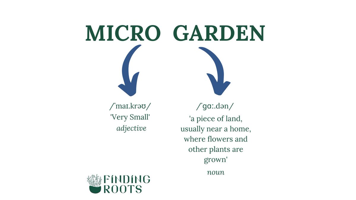 FindingRoots.co.uk tweet media