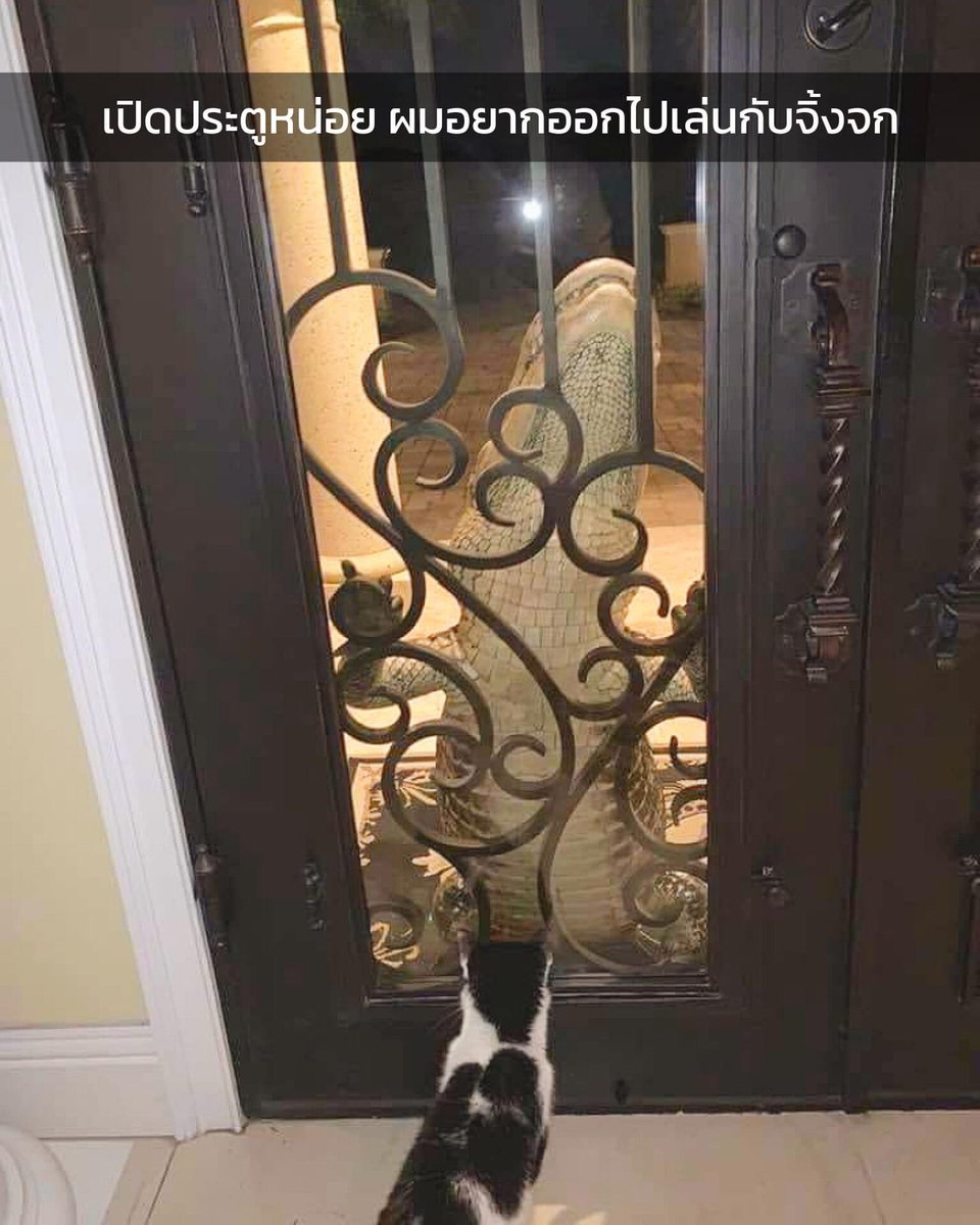 5555555555555555555555555555555555555555555555555555555555555555