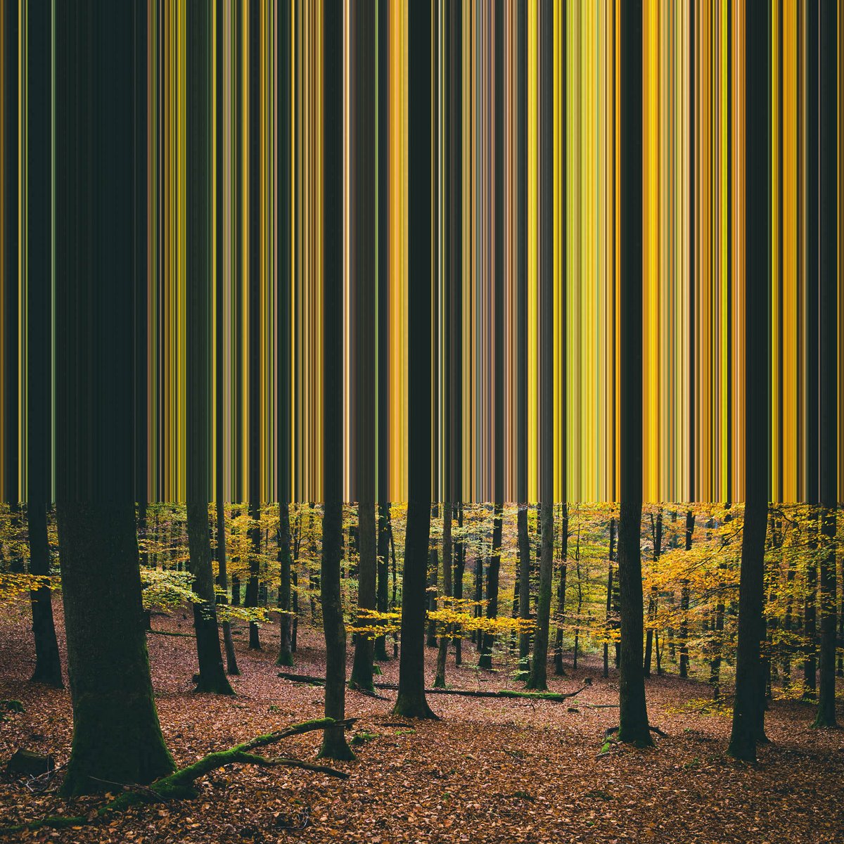 AestheticaMag's tweet photo. #AsSeenInPrint Niall Staines turns serene landscapes into glitch-like scenes. 

Colours are smeared upwards; vertical stripes are dragged and pulled from forests. Explore the images in our current print issue: https://t.co/2jgt50SOjy https://t.co/82ny2GWBXG
