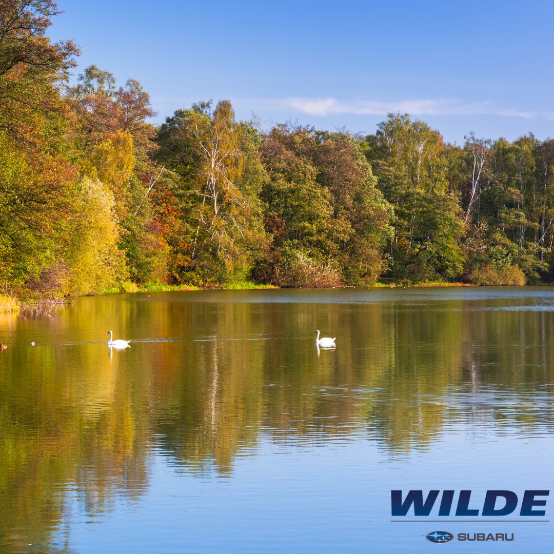WildeSubaru1's tweet photo. As Earth Month comes to a close, we want to thank our Wilde Subaru family for helping us make the world a more sustainable place through the Subaru Loves the Earth™initiative.  Taking small steps like recycling can make a big difference to our community and the planet. 🌎 https://t.co/WoA1Ki3nRx