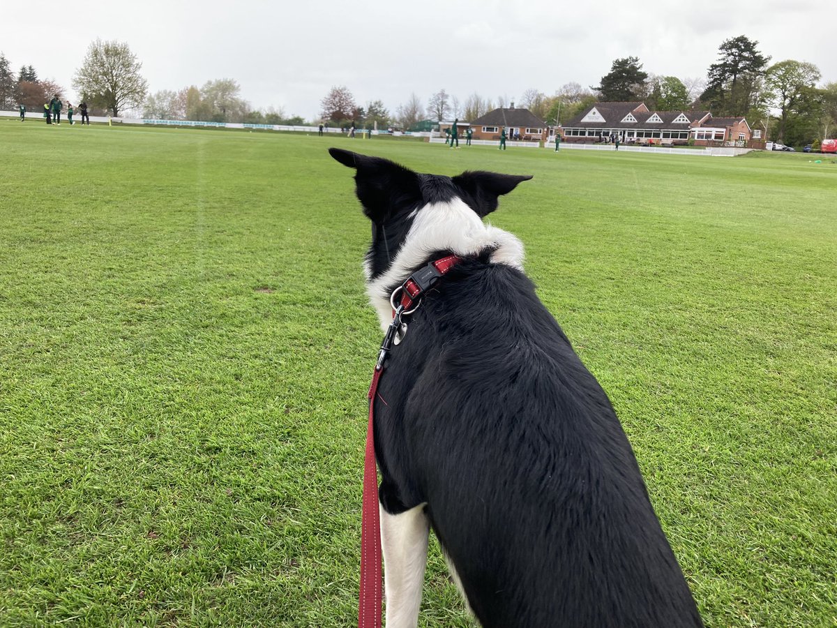 Postie65's tweet photo. With play cricket being a disaster it was time for the Cody cricket tour, games at @WorfieldCC @BridgnorthCC and @WolverhamptonCC highlight was watching Adam Finch taking the first 6 Barnt Green wickets!🏏 https://t.co/WCdt2EnB7y