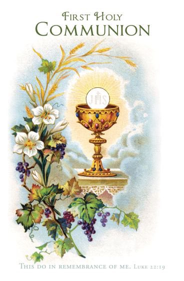 God Bless our First Holy Communicants as they receive the Eucharist today and the sacrament of First Holy Communion. May you always know the peace of Jesus, the light of his love, and the joy of his life within you. Congratulations! 🙏