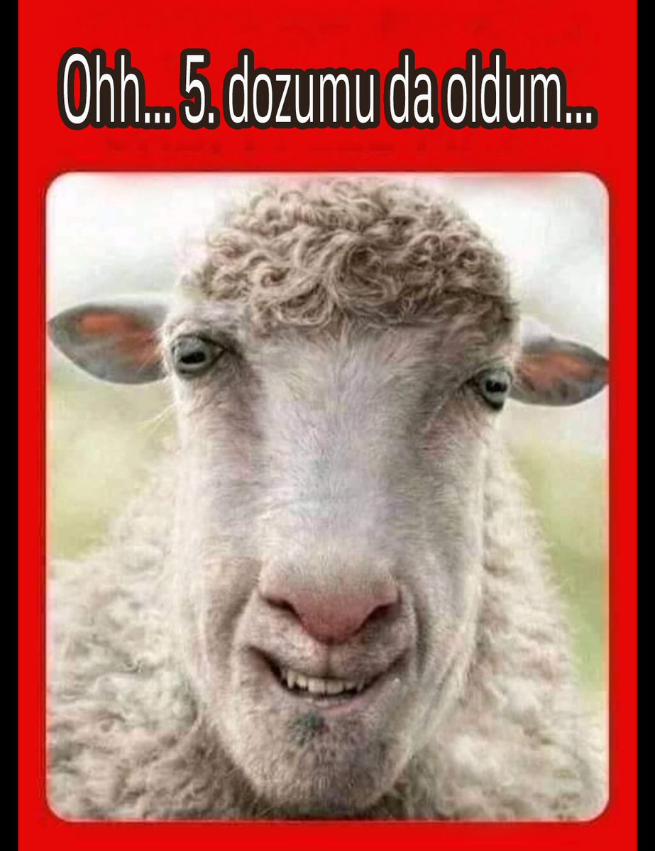 41Sepetchily's tweet photo. #Covid_19 bitmedi gitti!
Bu #Gorona beni de buldu.
5 doza rağmen #Gorona oldum.
Çok değişik bir şey!
Koku alamıyorum çünkü burnum tıkalı.
Yanlarım,her yerlerim ağrıyor!
Arkadaşlar çok geçmiş olsun deyin;Evde kalın hep #Maske takın!Bana geçmiş olsun deyin, şimdiden çok amin,tşk. https://t.co/JSO7Lgc2wR