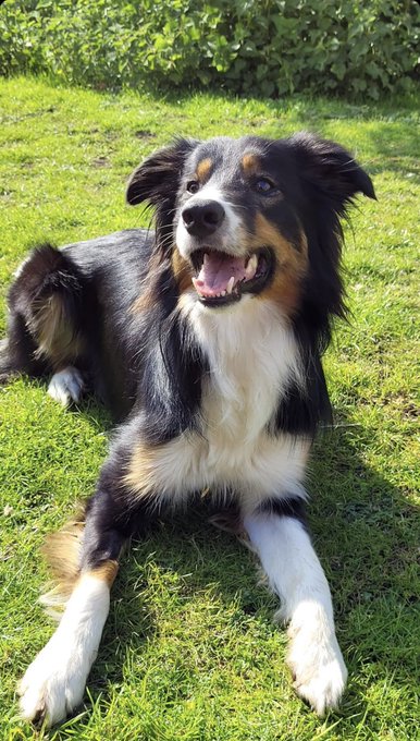 Arty&rsquo;s face when he sees @amyecosplay 🥹 https://t.co/AqdaXO98dP<a class="tags" target="_blank" title="On Twitter" href="/?out=eyJ0eXAiOiJKV1QiLCJhbGciOiJIUzUxMiJ9.eyJpYXQiOjE3MjA3MjgzNjUsImlzcyI6InR3cG9ybnN0YXJzLmNvbSIsIm5iZiI6MTcyMDcyODM2NSwiZXhwIjoxNzUyMjY0MzY1LCJyZWRpcmVjdF91cmwiOiJodHRwczovL3R3aXR0ZXIuY29tL2FteWVjb3NwbGF5In0.9W1edN68dg_AfDK7hAqXB1PBgsGGYQluAv631_9HgttbL_FnD9Eza6f5LC2NotSZVC_znE3n9Kqa_pSbwyfTjA">@amyecosplay</a>