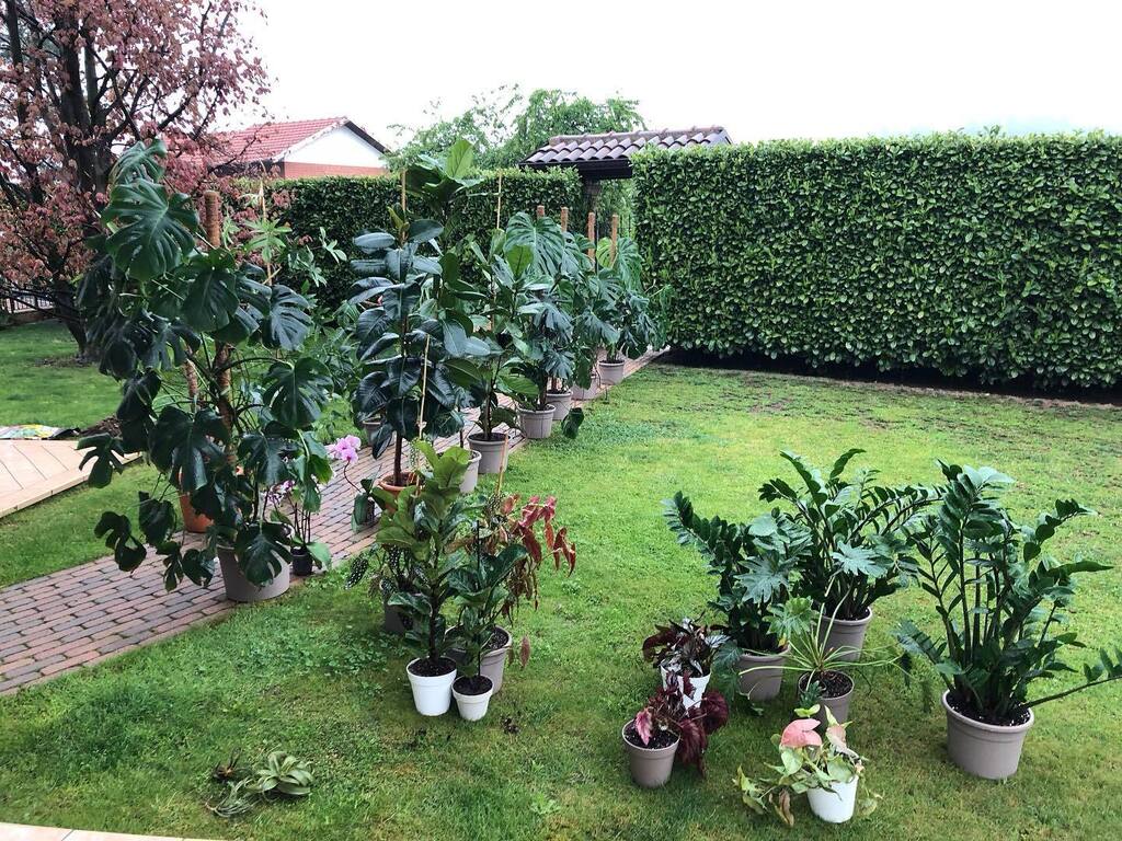 carlolisa's tweet photo. Every drop of rain 🌧️ counts!
#rain #reano #carlolisatravelphotography https://t.co/Sokue834uz https://t.co/s4EsnTxyEf