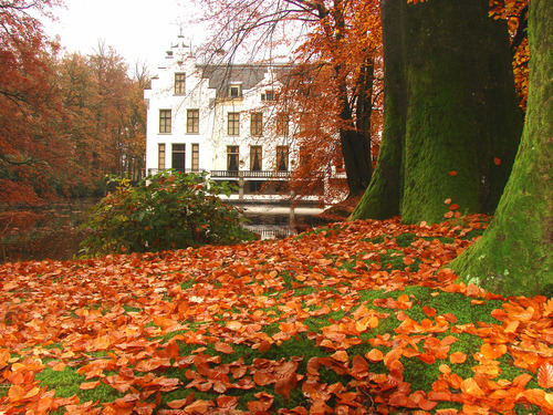 visitharford's tweet photo. Autumn House, Staverden, Netherlands #AutumnHouse #Staverden #Netherlands https://t.co/OaJNyOzkqp https://t.co/NKN4sdAlk9