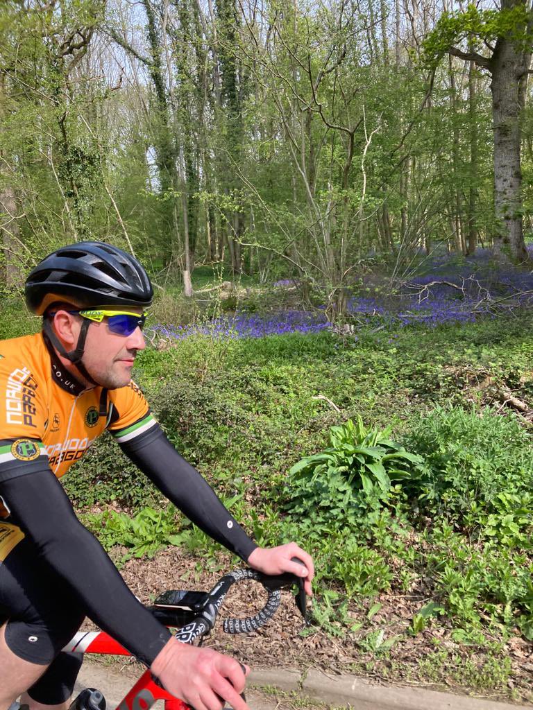 Spring clubruns in the UK means plenty of these in the woods!