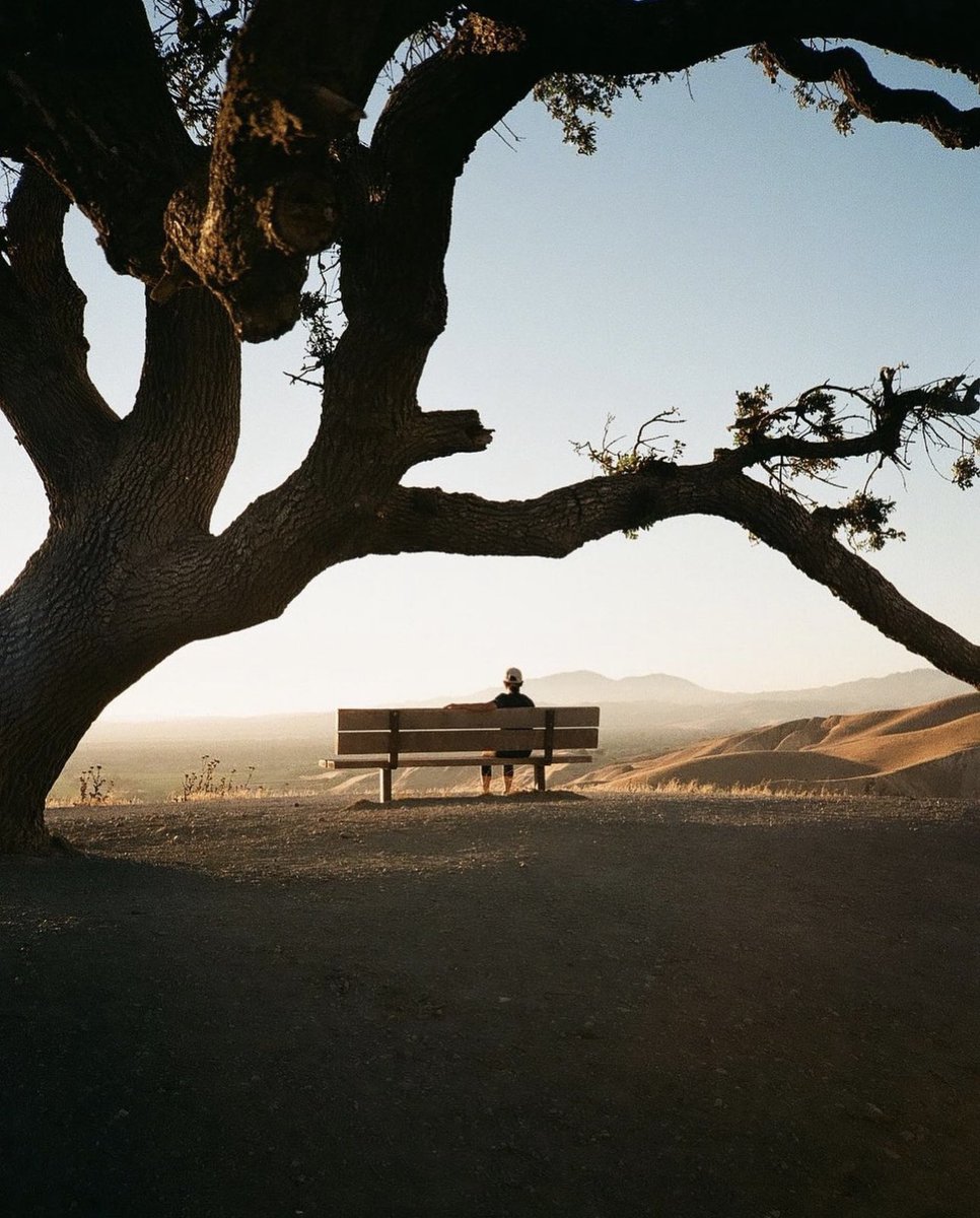 by k.filmca (ig) ✨ #loadfilm
curated by @mauricepehle 

🎞️ #gold200 
✨ #madewithkodak 
📷 #canonae1