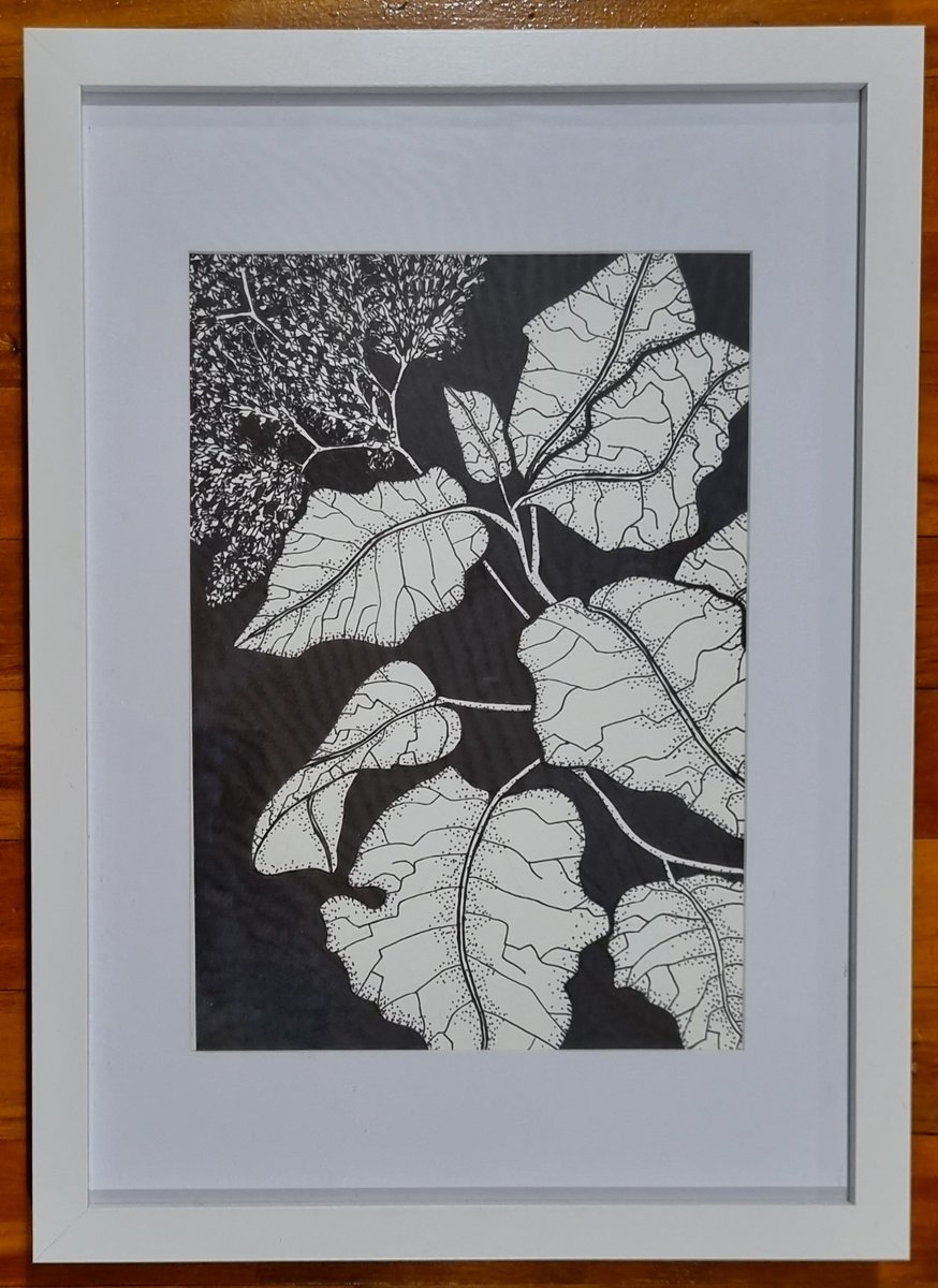 ResearchKate's tweet photo. #inkdrawing #art #rangiora #bushmansfriend created this as a guide for my next linocut (which will be this in reverse). It's been creating time for mark making again. https://t.co/NSY4fO9ijf