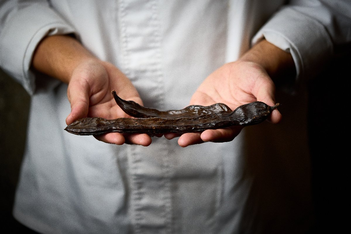 Magogarestaurante tweet media