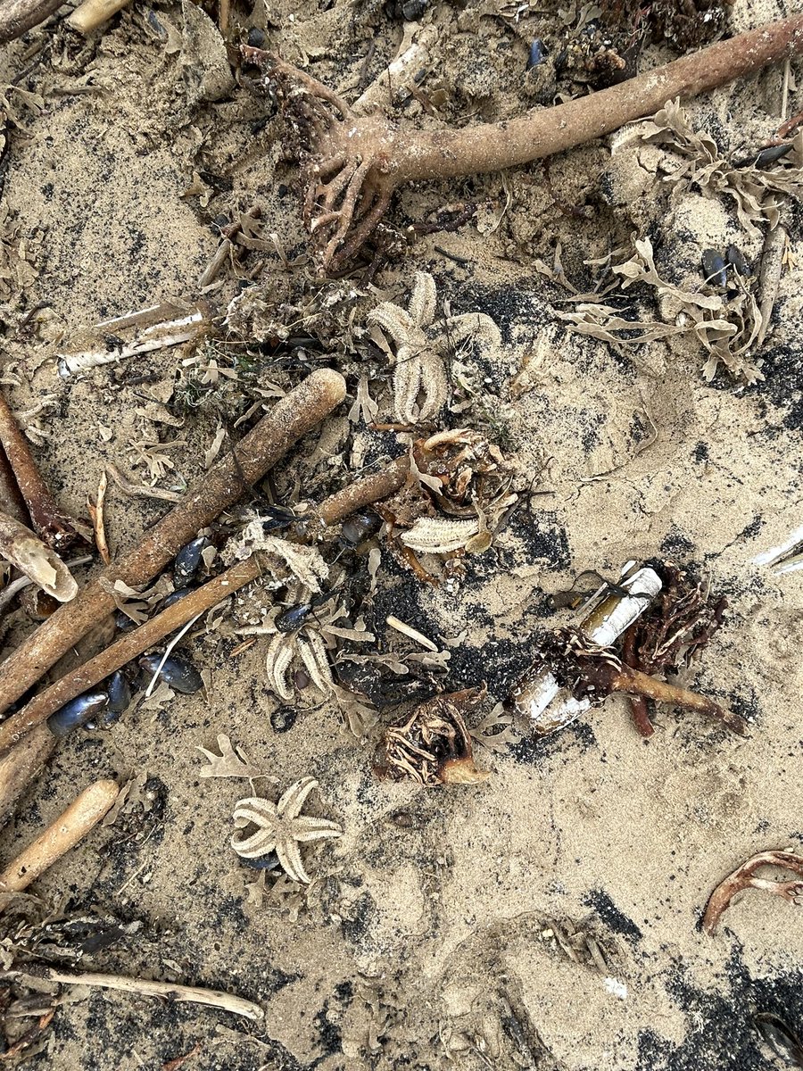 Anna Turley MP tweet media