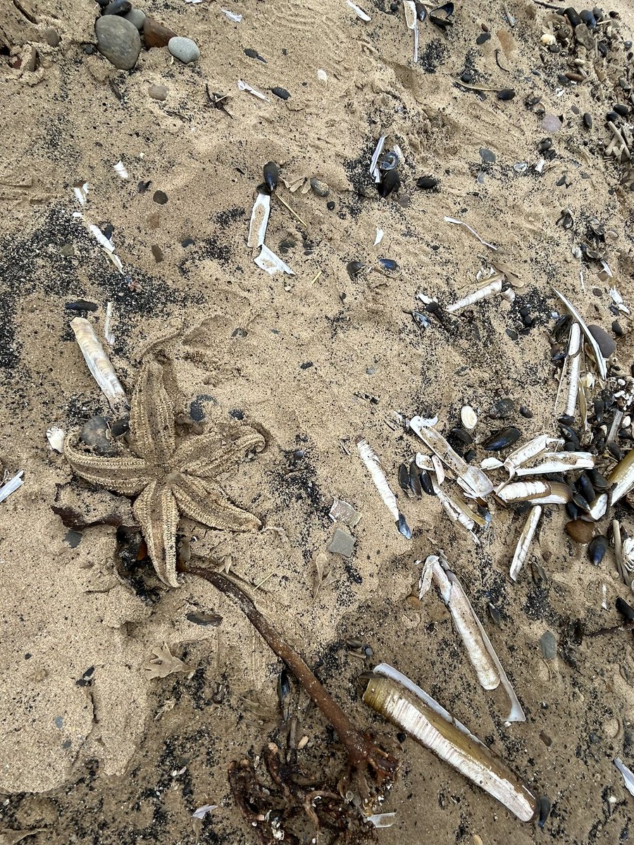 Anna Turley MP tweet media