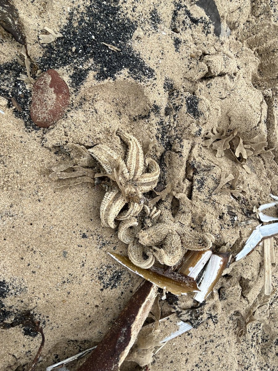 Anna Turley MP tweet media