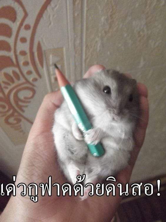 เพลิงพยัคฆ์ tweet media