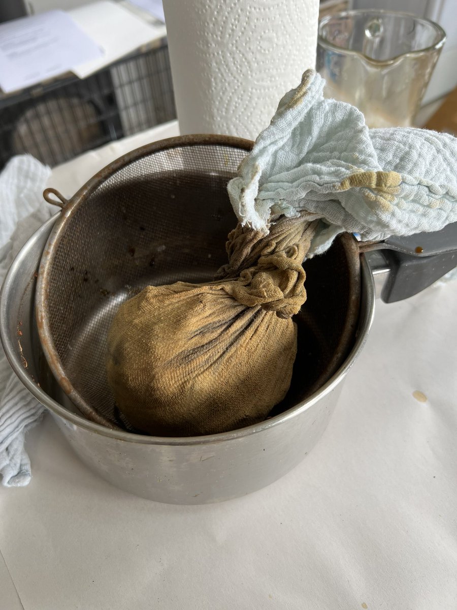 juliaacoll's tweet photo. A very beautiful workshop with David Begley, learning how to make ink from organic sources, such as oak gall and alder cones! https://t.co/ZchAxj6vvZ