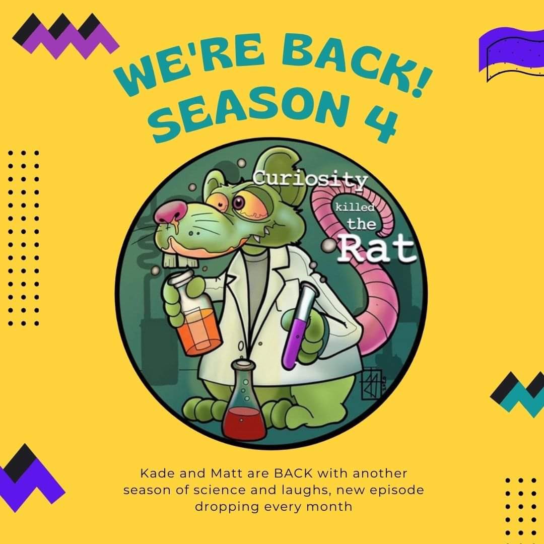 Curiosity Killed The Rat tweet media