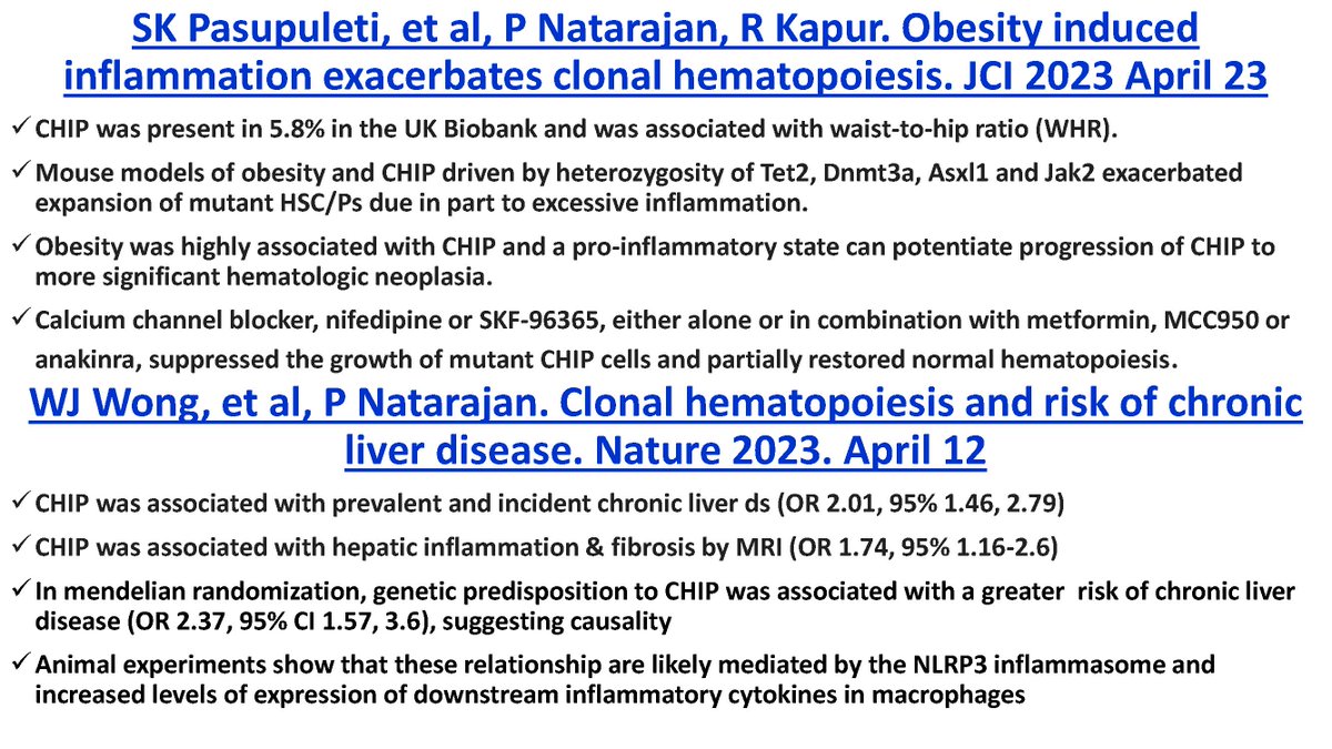 Naga Chalasani (@nagachalasani) on Twitter photo NAFLD Article of the Week <a href="/IUGastro/">Indiana University Gastroenterology and Hepatology</a>
Two must read on clonal hematopoiesis (CHIP) & CLD
➡️ IU group shows obesity & chr inflam cause and worsen CHIP <a href="/jclinicalinvest/">Journal of Clinical Investigation</a>
➡️ Harvard group shows CHIP ⬆️ CLD, liver inflam & fibrosis <a href="/Nature/">nature</a>
@kathleencoreyMD <a href="/NoureddinMD/">Mazen Noureddin, MD, MHSc</a> <a href="/QAnstee/">Quentin M. Anstee</a> NAFLD Article of the Week <a href="/IUGastro/">Indiana University Gastroenterology and Hepatology</a>
Two must read on clonal hematopoiesis (CHIP) & CLD
➡️ IU group shows obesity & chr inflam cause and worsen CHIP <a href="/jclinicalinvest/">Journal of Clinical Investigation</a>
➡️ Harvard group shows CHIP ⬆️ CLD, liver inflam & fibrosis <a href="/Nature/">nature</a>
@kathleencoreyMD <a href="/NoureddinMD/">Mazen Noureddin, MD, MHSc</a> <a href="/QAnstee/">Quentin M. Anstee</a>
