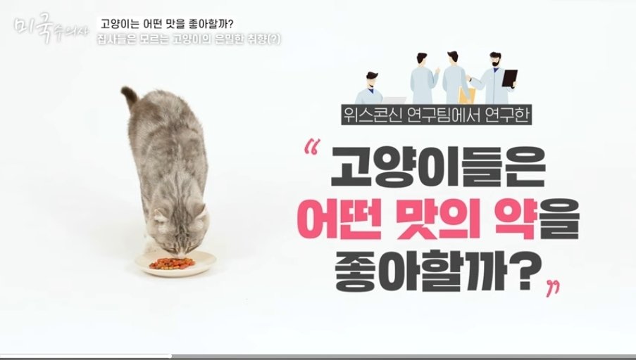 미국수의사The Veterinarian's Diary tweet media
