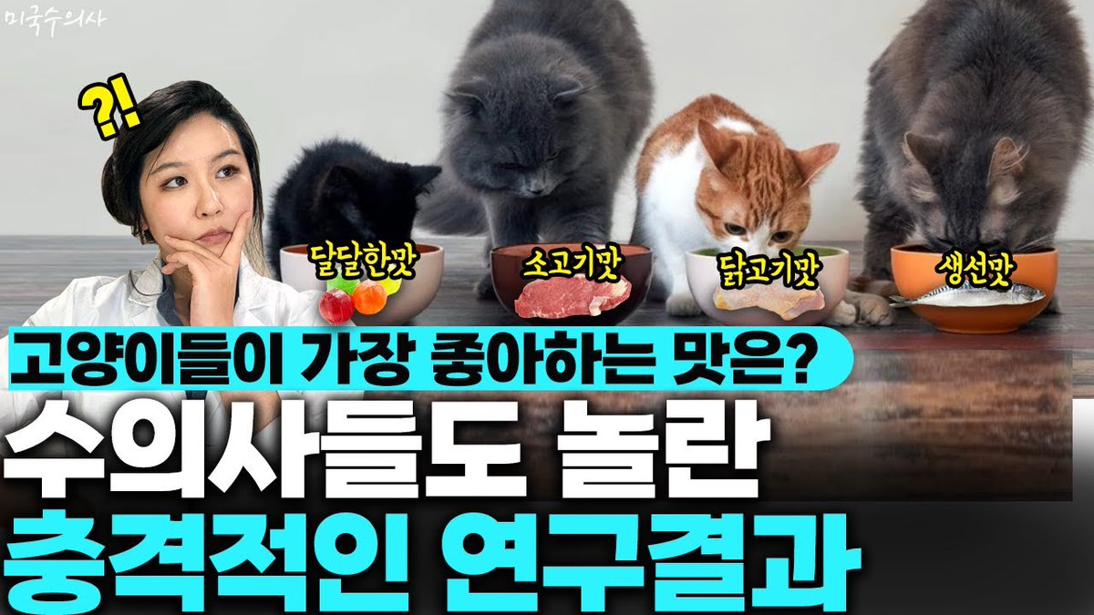 미국수의사The Veterinarian's Diary tweet media