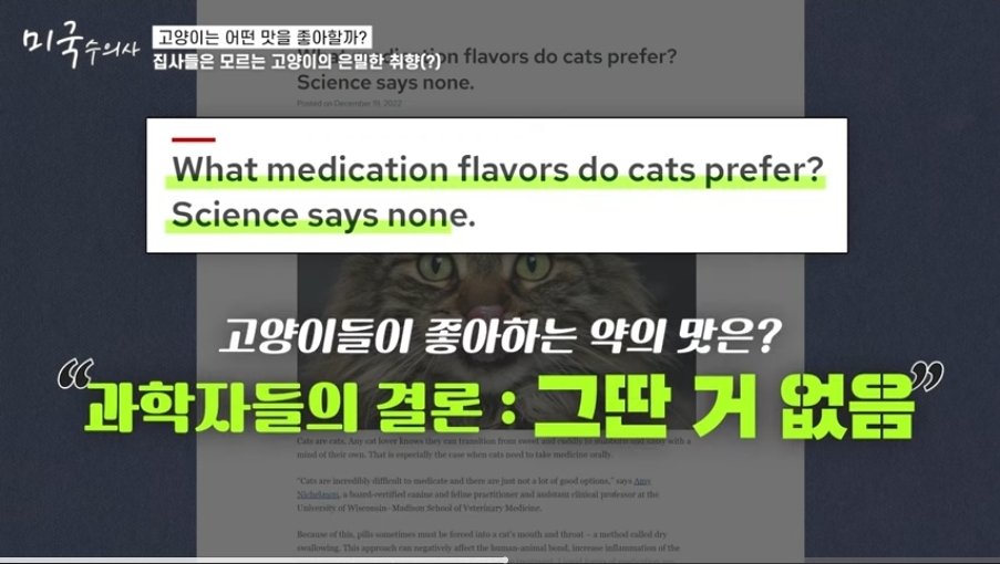 미국수의사The Veterinarian's Diary tweet media