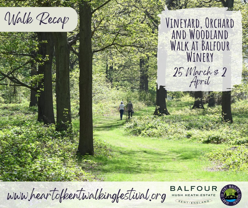 HeartofKentWalk's tweet photo. On 25 March and 2 April, Lindy from Balfour Winery took walkers along on the 'Vineyard, Orchard and Woodland Walk at Balfour Winery' as part of the HoK Walking Festival 2023.

29 walkers came along in total over the two days, with everyone seeming to have a lovely time! https://t.co/oHZj4fiYJT