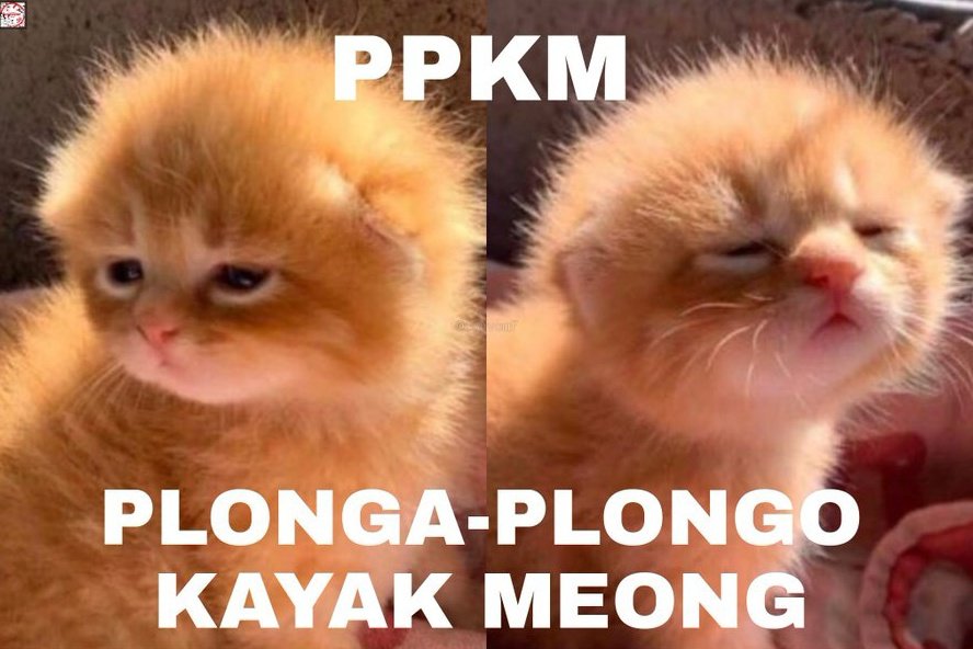 aska tweet media