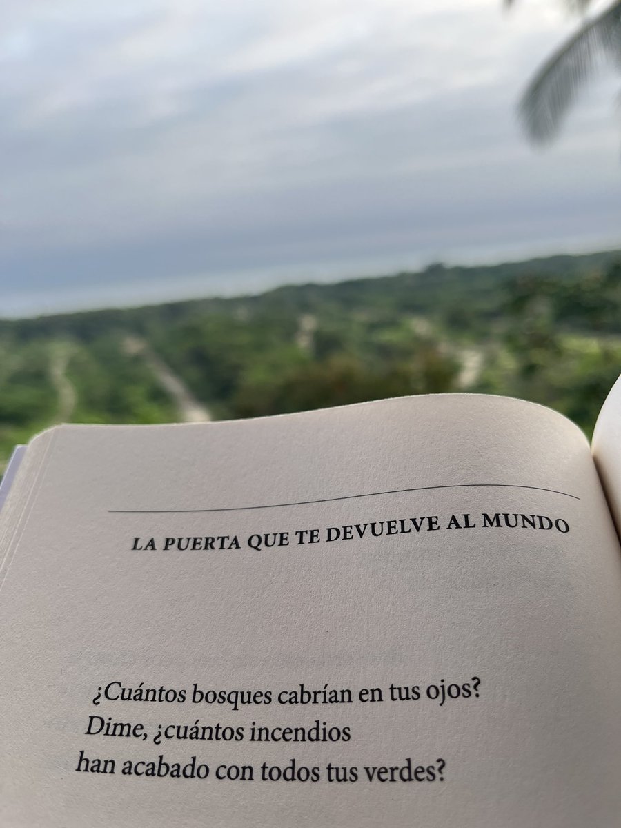 MarshSm730's tweet photo. Falta el cafecito mientras leo:

“Cuantos incendios han acabado con tus verdes?” Gracias @elvirasastre https://t.co/dSDj9Azhoi