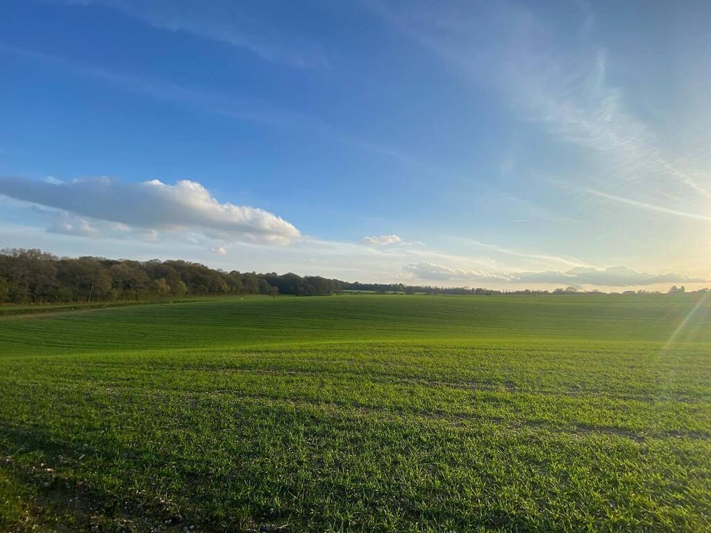 TheWordBirdSM's tweet photo. It’s quite pretty round these parts… Evening walk around the fields of Limpsfield.
#limpsfield  #limpsfieldchart #walk #surrey https://t.co/kHt9tSIsTK https://t.co/N3swsjS8fo