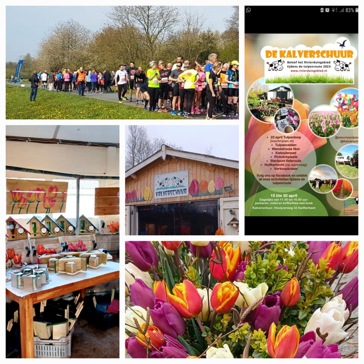Zondag, vandaag de laatste dag  geopend voor bezoekers, we kijken terug op mooie momenten, ontvangst van dementerenden,ouderen, hardlopers,wandelaars,fietsers  en meer,die een mooie dag hadden bij ons.
De velden staan nog in volle bloei nog minstens een week genoeg te zien hoor👌