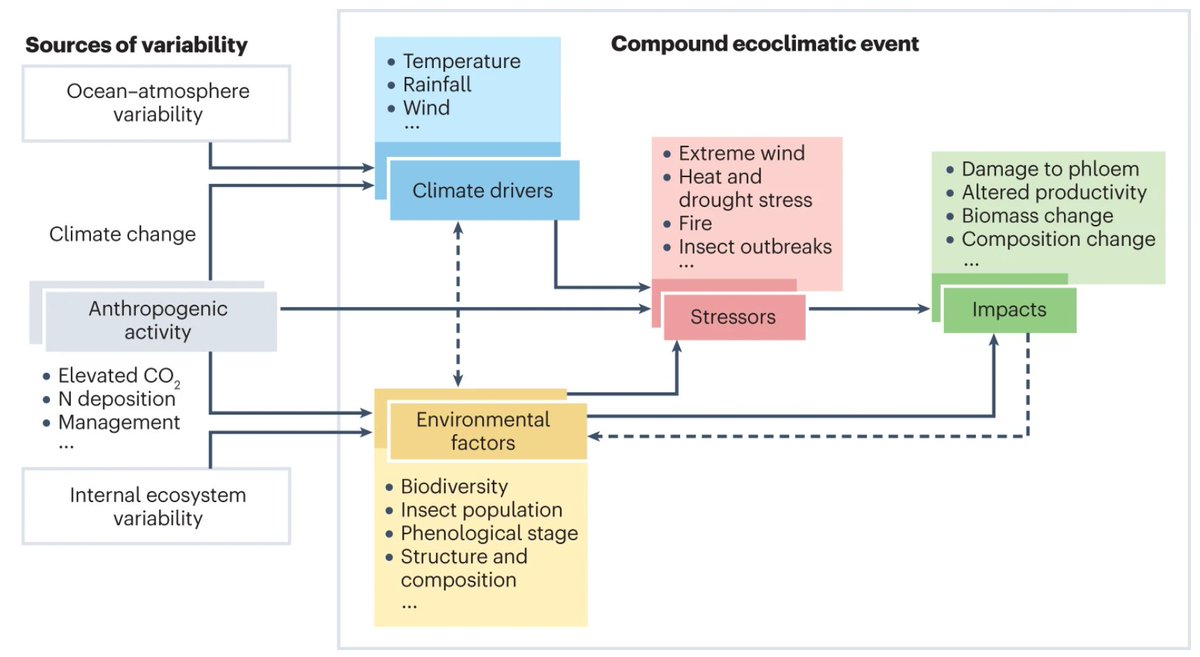 Nature Reviews Earth & Environment 🌈 (@natrevearthenv) on Twitter photo In this Perspective, @Ana__Bastos, <a href="/ssippel87/">Sebastian Sippel</a>, <a href="/Reichstein_BGC/">Markus Reichstein</a>, <a href="/soenke_zaehle/">Sönke Zaehle (@soenke_zaehle@mas.to)</a>, <a href="/ZscheischlerJak/">Dr. Jakob Zscheischler</a>, <a href="/MiguelDMahecha/">Miguel Mahecha</a> et al propose a systemic framework to analyse the causal relationships between climate extremes, disturbance regimes & ecosystems.
nature.com/articles/s4301… In this Perspective, @Ana__Bastos, <a href="/ssippel87/">Sebastian Sippel</a>, <a href="/Reichstein_BGC/">Markus Reichstein</a>, <a href="/soenke_zaehle/">Sönke Zaehle (@soenke_zaehle@mas.to)</a>, <a href="/ZscheischlerJak/">Dr. Jakob Zscheischler</a>, <a href="/MiguelDMahecha/">Miguel Mahecha</a> et al propose a systemic framework to analyse the causal relationships between climate extremes, disturbance regimes & ecosystems.
nature.com/articles/s4301…
