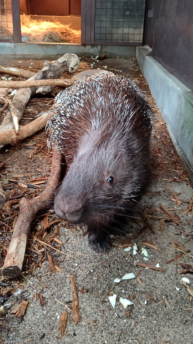 Yuki02473's tweet photo. 動物園���ってきました😊 https://t.co/Qr2N20VggK