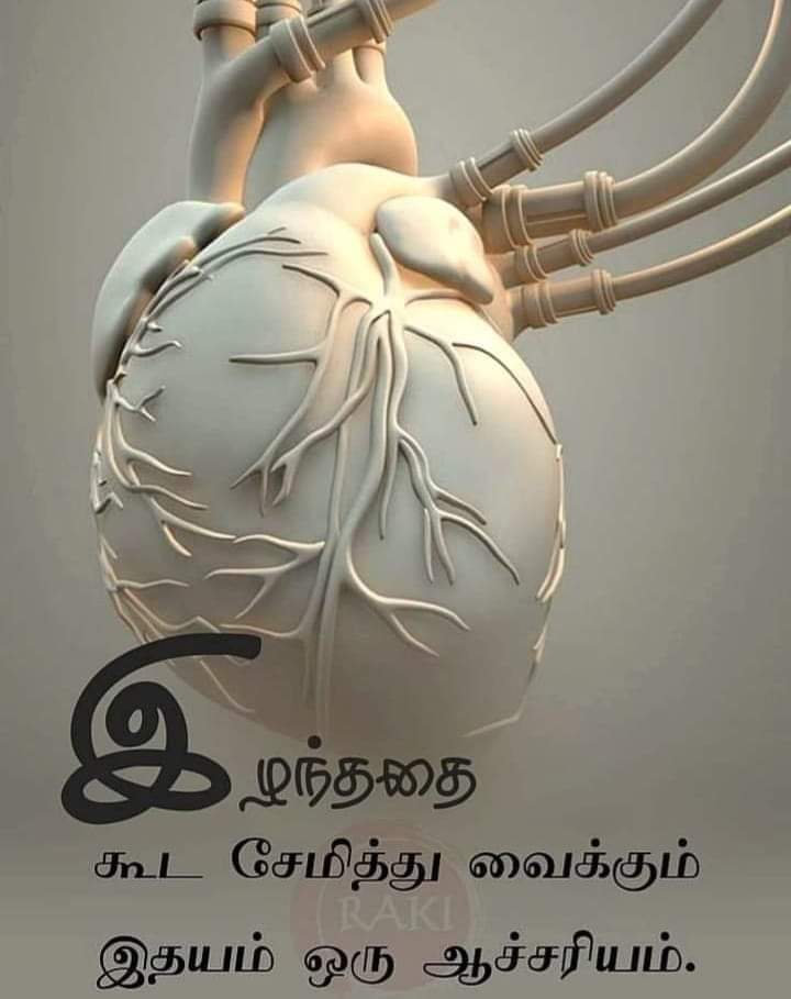arunkingca's tweet photo. @Ammu39297036 @Santhiyakr https://t.co/gthFZdtJNA