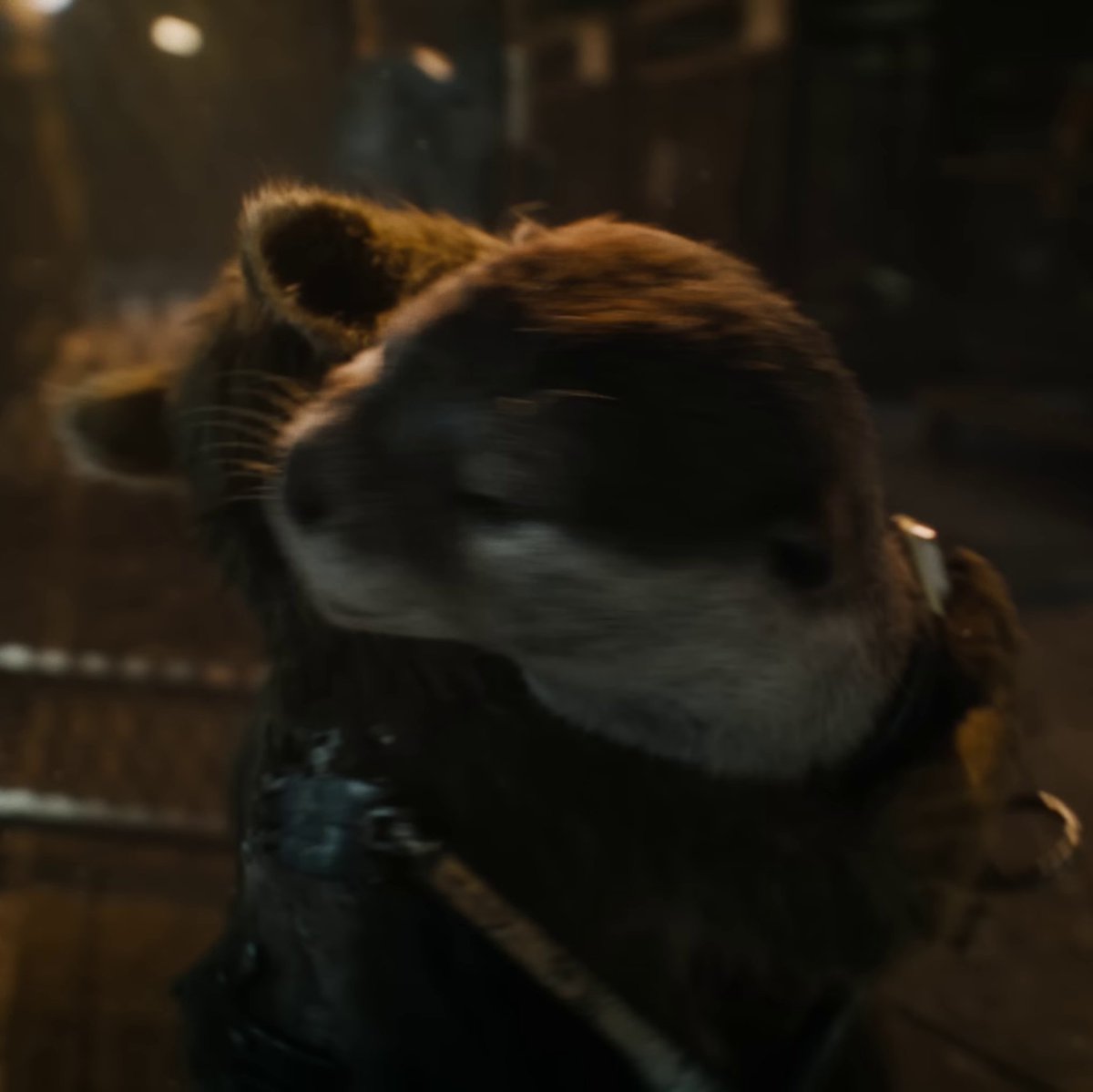 QuidVacuo's tweet photo. Las personas sensibles y amantes de los animales van a pasarlo muy mal en 'GUARDIANS OF THE GALAXY VOL.3' según revelan varios criticos.

Prepárense para cualquier cosa y para sufrir. ¡Quedan 4 días! https://t.co/lTUwygsVgQ