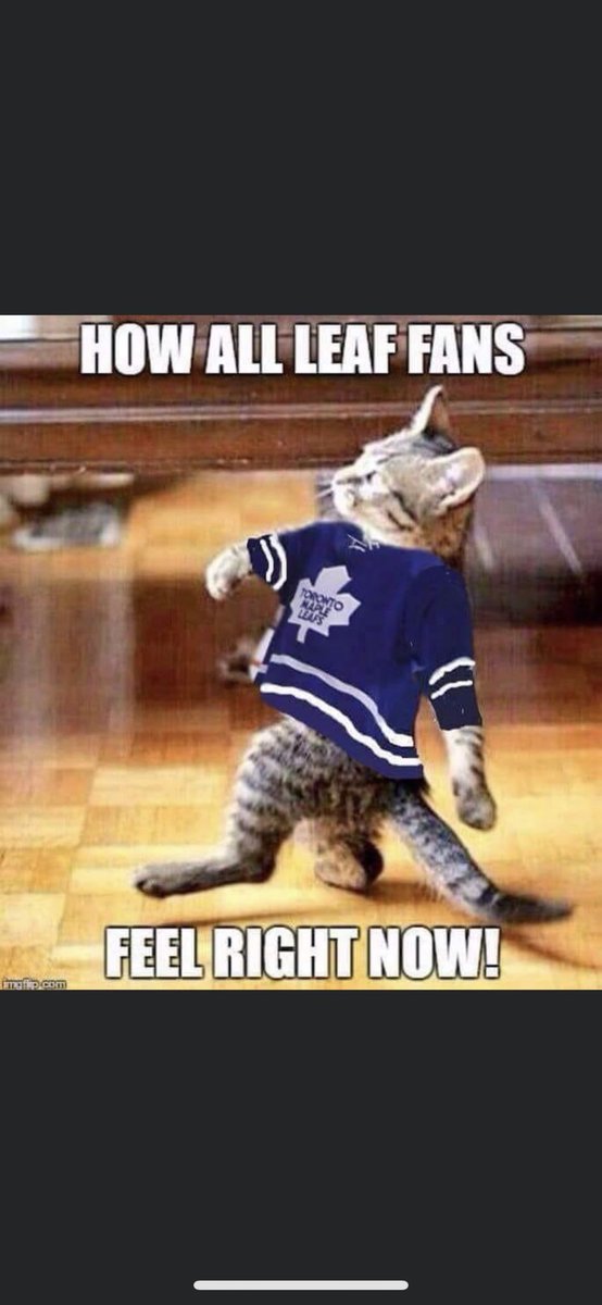 AlisaCuff's tweet photo. Go Leafs Go. #TorontoMapleLeafs https://t.co/K9HHKGKvW5