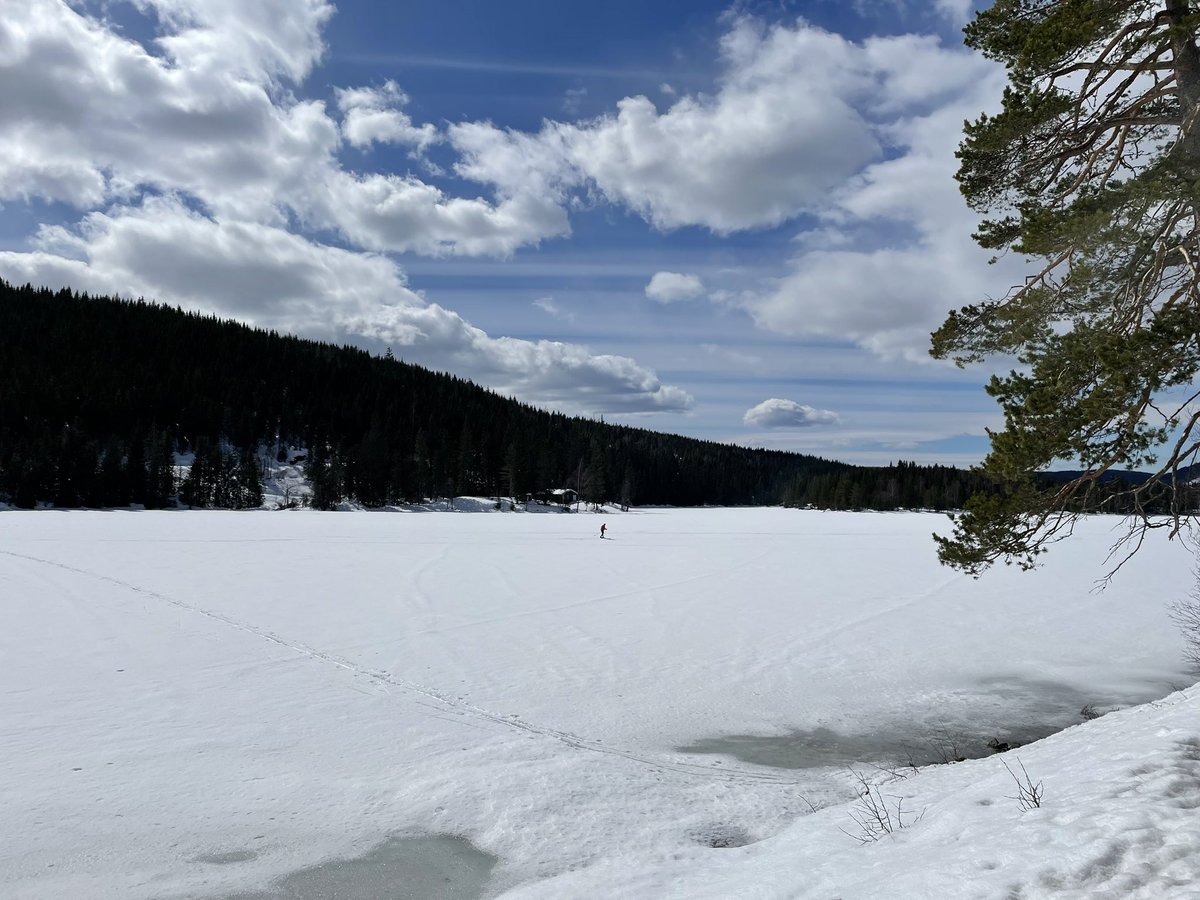 lenelid's tweet photo. @Jon_Lahlum @stgaard @nhranum @andersheger @HSchlaupitz @gurigurimalla @Torkil @EinarWilly @SverreSjblom @hildeheger @s_jakke @benteh @Oslokommune @skiforeningen Anders på vannet, med ski uten gli, men kanskje blir han sistemann denne sesongen. https://t.co/hBzv9jjx9l