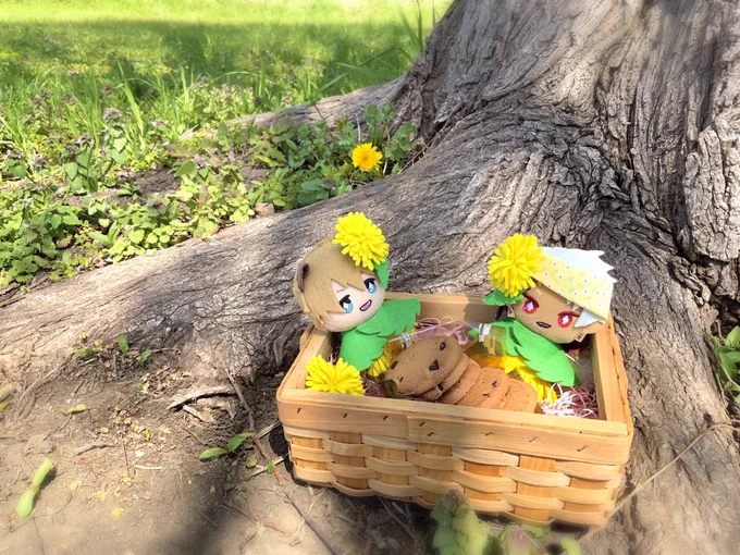 ぱわさんのたんぽぽの小人ぱろのまねっこをしてるおちびーず