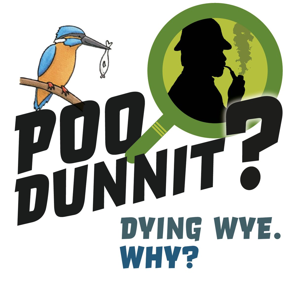Wildlife_Film's tweet photo. #WildlifeFilmNews 284 - April 2023 🌿 is OUT NOW: #WFN284 – A round-up of all things #WildlifeFilm from the previous month! 🎥💩💧 Images: @brockinitiative's #POODUNNIT? Check it out. 👀 💙 - https://t.co/kr2Tn11O90 https://t.co/vHgcmTcfZV