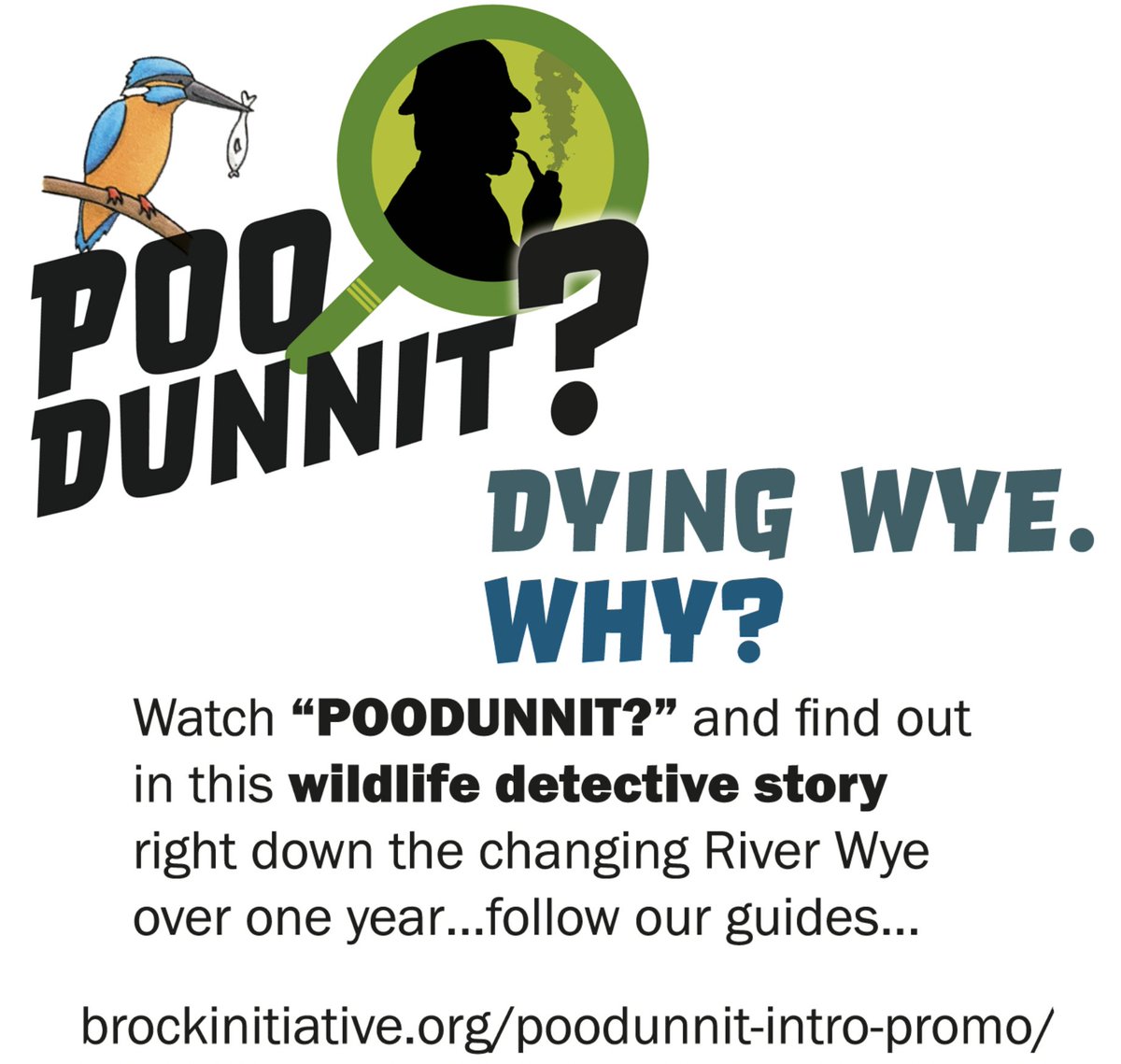 Wildlife_Film's tweet photo. #WildlifeFilmNews 284 - April 2023 🌿 is OUT NOW: #WFN284 – A round-up of all things #WildlifeFilm from the previous month! 🎥💩💧 Images: @brockinitiative's #POODUNNIT? Check it out. 👀 💙 - https://t.co/kr2Tn11O90 https://t.co/vHgcmTcfZV