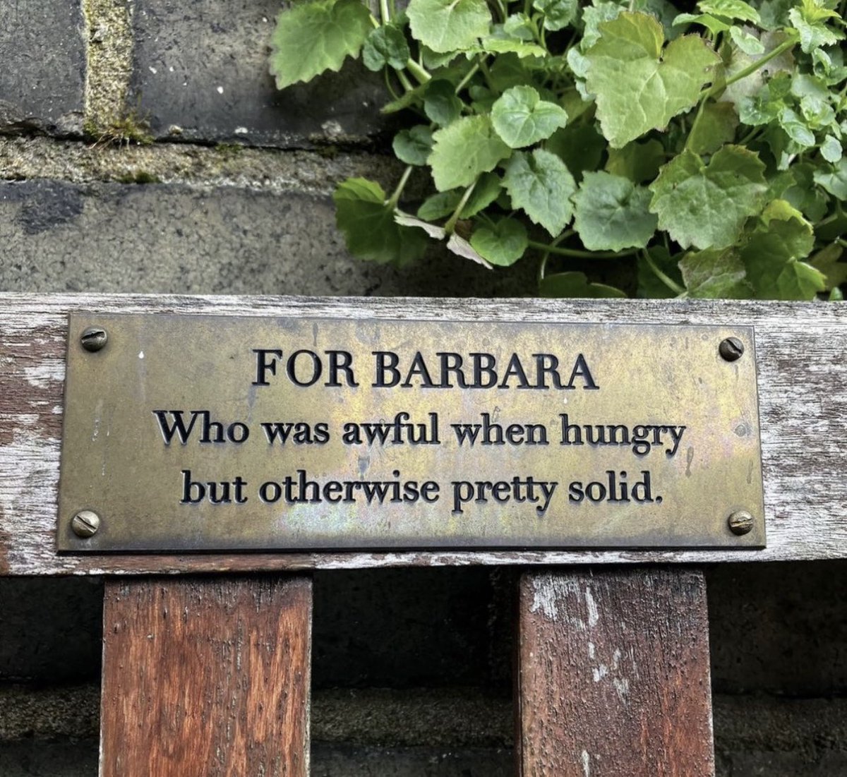 barbara was highly relatable