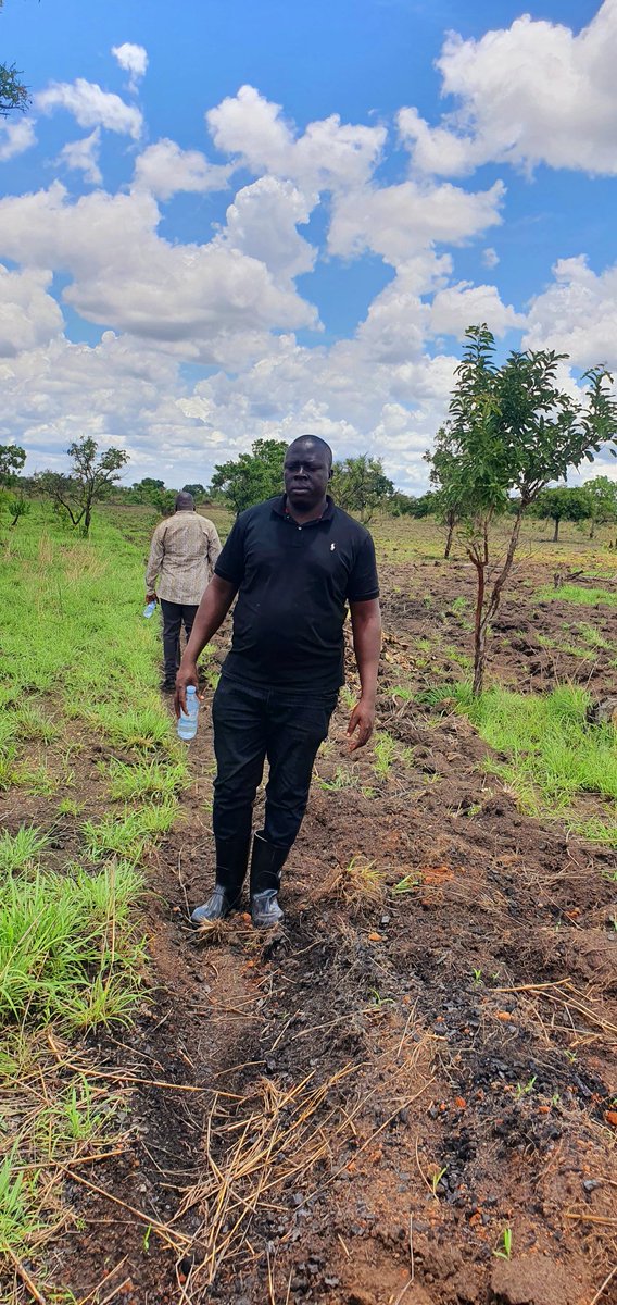 EzraElem's tweet photo. Amidst your busy City schedules find time to Visit your village land and know the boundaries otherwise you will pay dearly during old age! https://t.co/pj5GGSkV7q