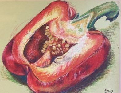 CCCU Art & Design Teacher Training tweet media