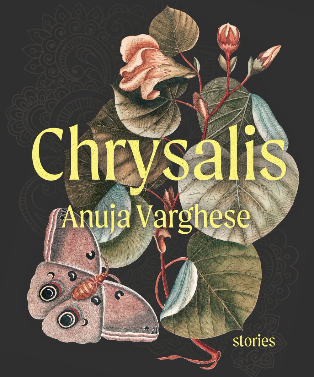 Amy R Neufeld tweet media