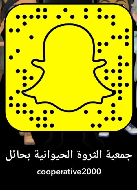 تابعونا على السناب

الجمعية التعاونية لرعاية وتنمية الثروة الحيوانية بحائل