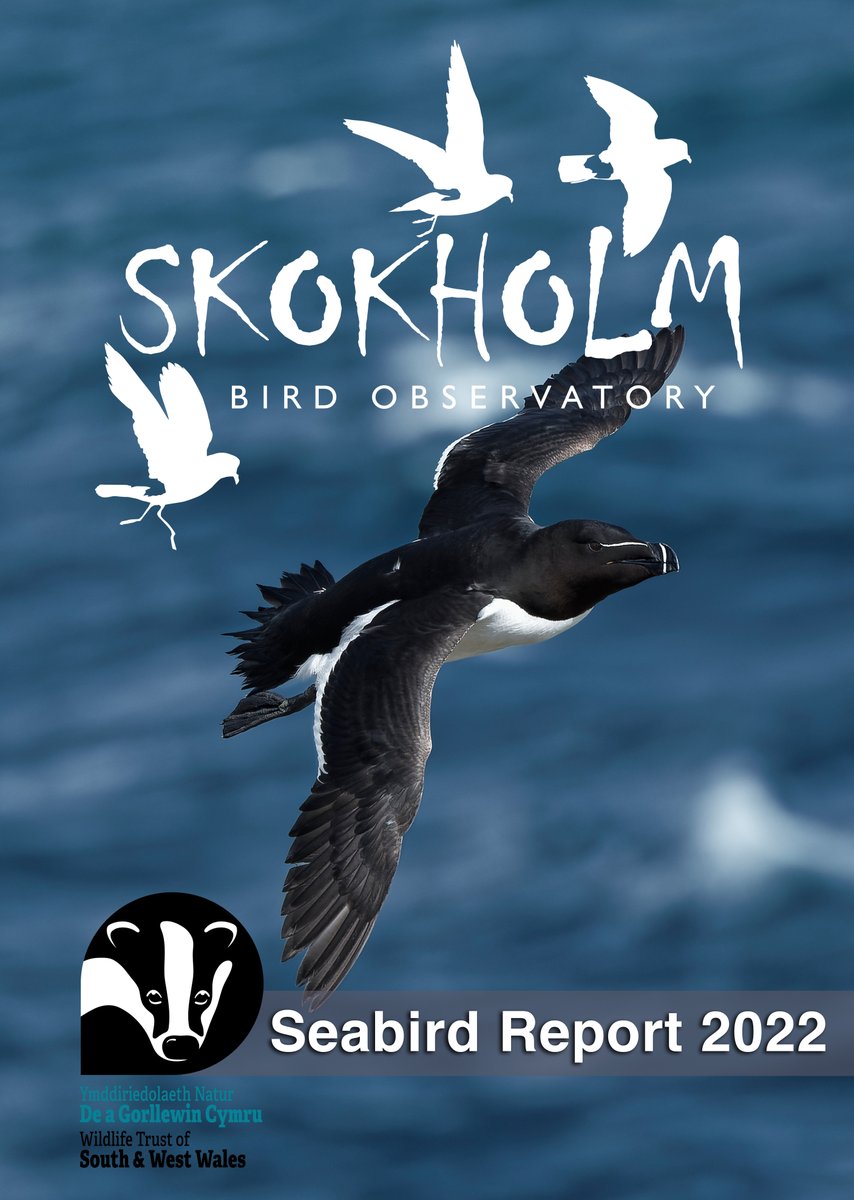 The Skokholm Seabird Report 2022 is now available as a FREE, searchable, tree-saving PDF here:

bit.ly/3Hq8rAk