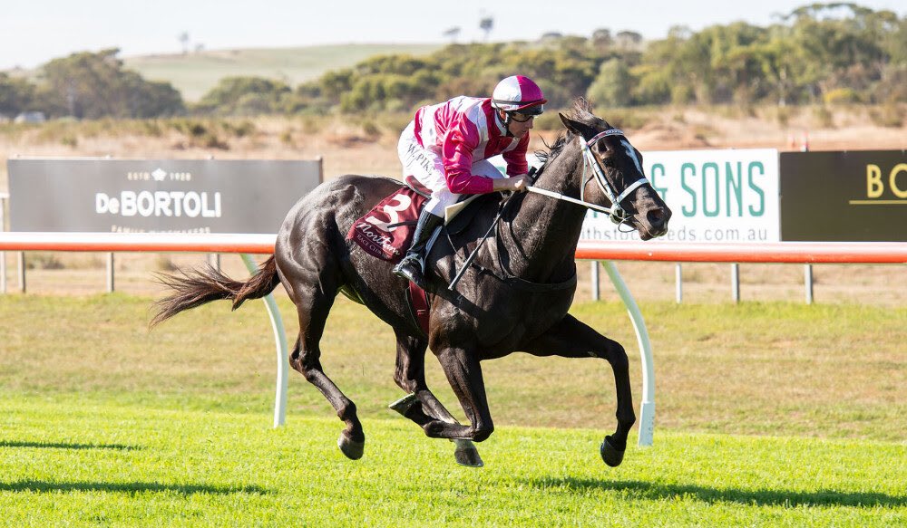 MickyGrantham's tweet photo. What a way to end the weekend with Antique Miss &amp; Debonnaire winning their maidens impressively at @NorthamRaceClub today! 

🤞🏼 they can hold their presence in the upcoming 3YO stakes races for the Belmont season 🙏🏽

Congratulations to Mr &amp; Mrs Peters 👏🏼

📸 @WesternRacepix https://t.co/COrUuI1SpI