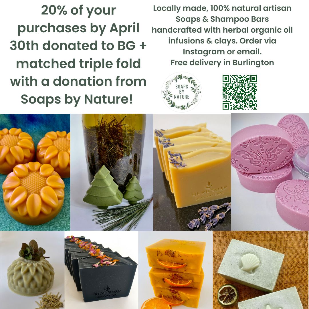 BurlingtonGreen's tweet image. Ends today! Our good friend 🌿#SoapsByNature🌿will donate 20% of your purchase to BG &amp;amp; match it triple fold.

Order now: burlingtongreen.org/news/soaps-by-…

Great Mother&apos;s Day (or any day) gift!
🌻Thank you🌻

#smallbatchsoap #homemadesoap #burlont #burlon #burlingtonmade #naturalsoap