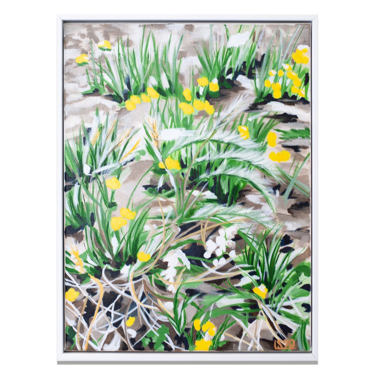 LauraKSmith7's tweet photo. Dandelions ♥️ https://t.co/Exa5Mkm500