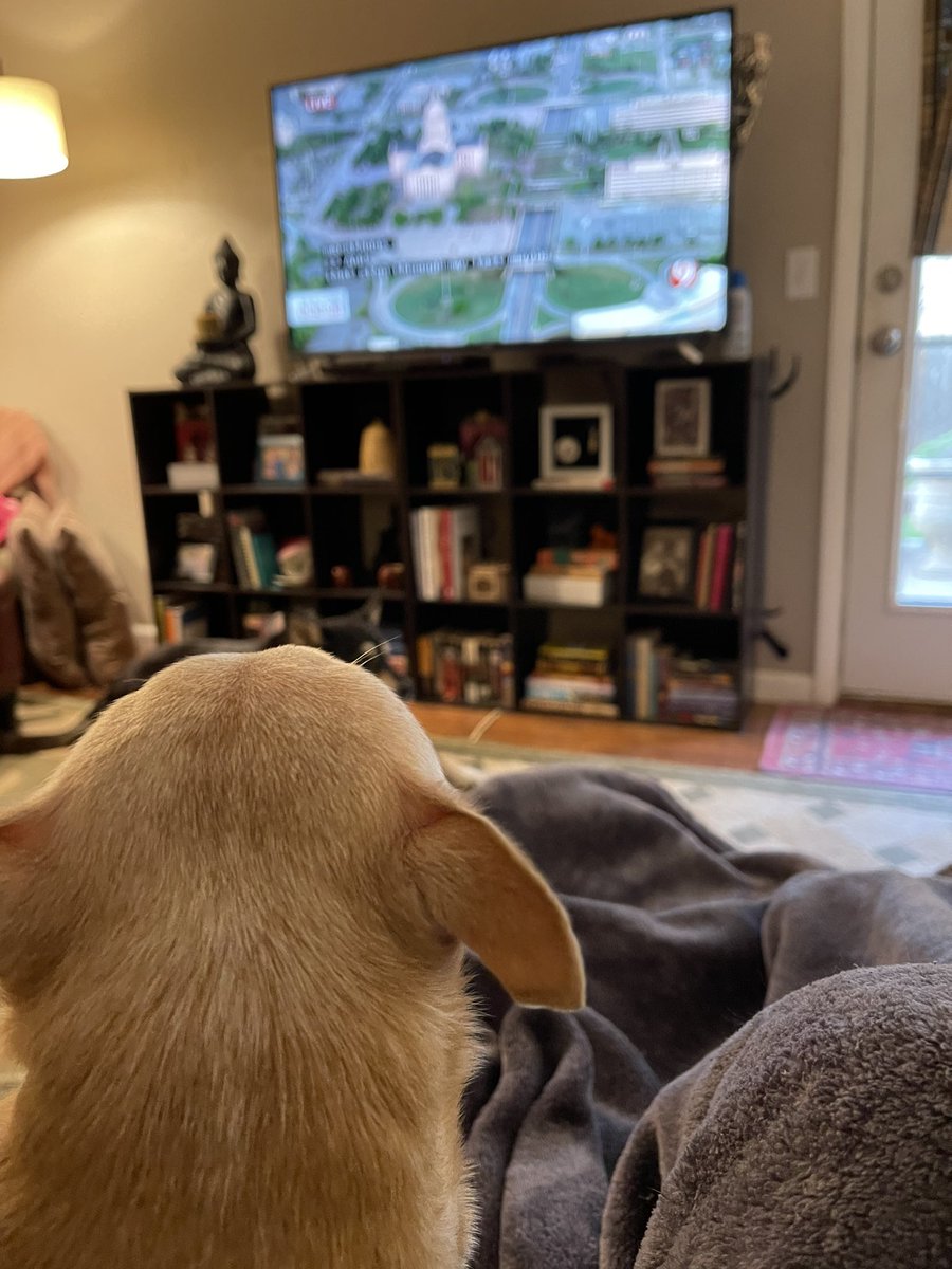 Freddie and I are watching the OKC Memorial Marathon this morning. Peep Axel’s head right over Fred’s. #yourdailyfred