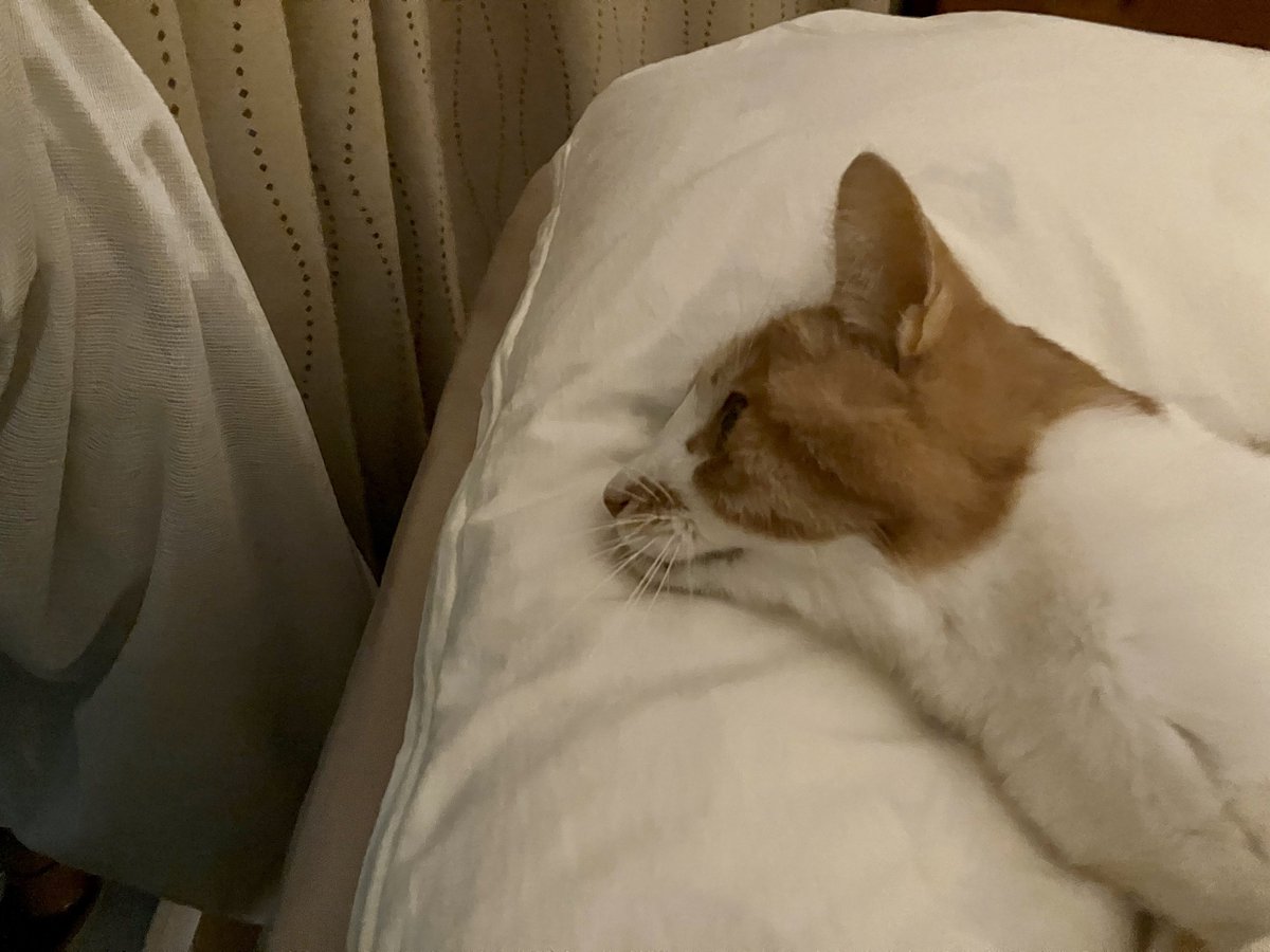 明日はお日様、出て欲しいなぁ